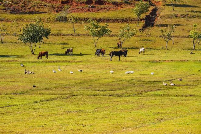 小蓝视频全球最好g平台 2024男同撸射