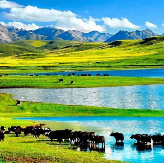 福利视频网站 这类内容不仅违反法律