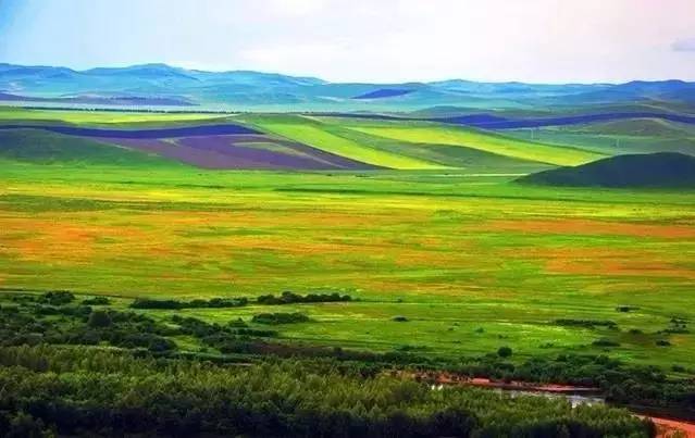 国产乱码精品一区二区三区香蕉