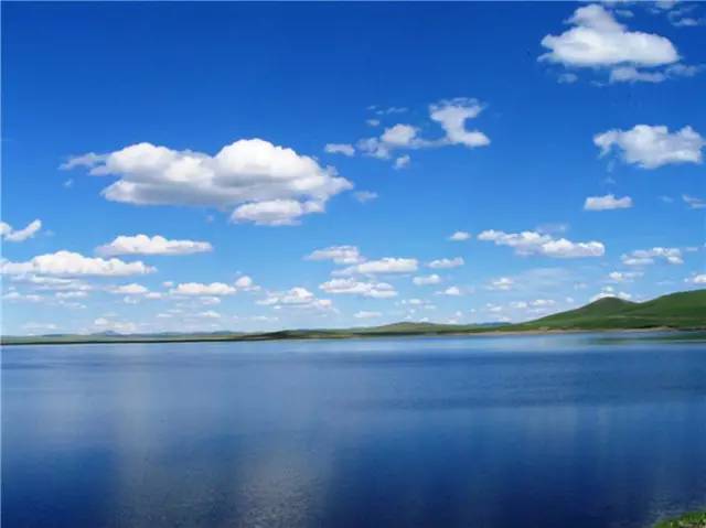 男同.sp 无论您的男同需求是什么