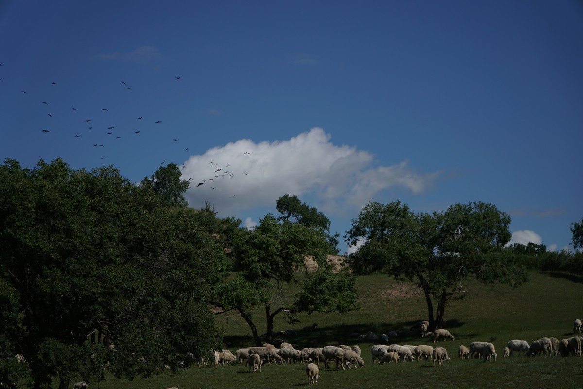 有人有片资源吗在线观看WWW视频 资源我听过不少例子