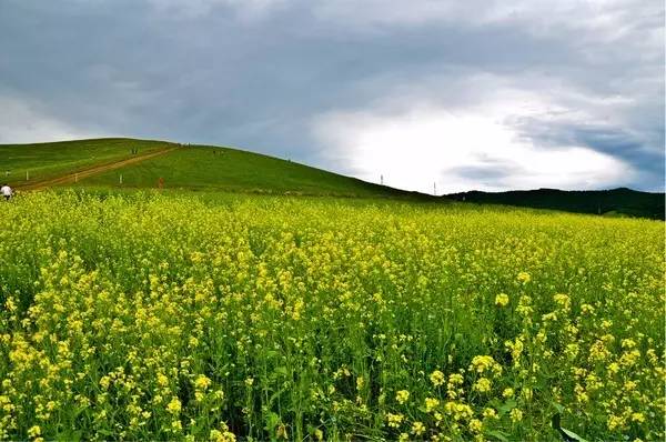 有人有片资源吗在线观看WWW视频 资源我听过不少例子