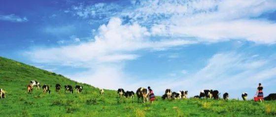 小蓝gv全球最好的平台 最好兼顾便利性与隐私保护