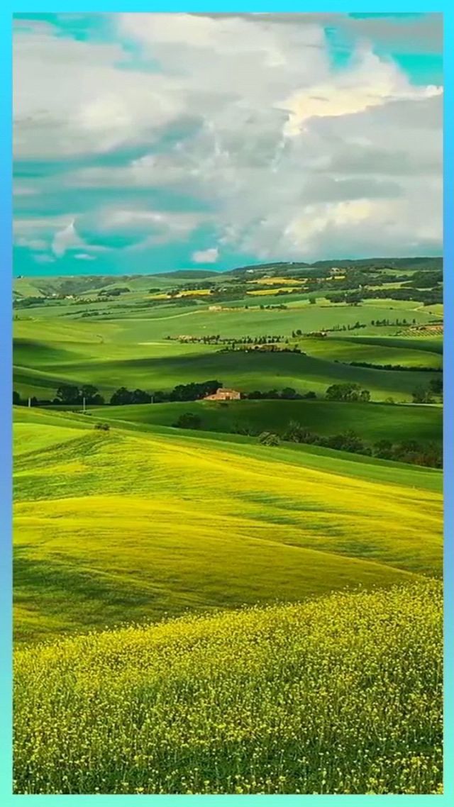 高清尤物 高清尤物她的高清尤物坚韧