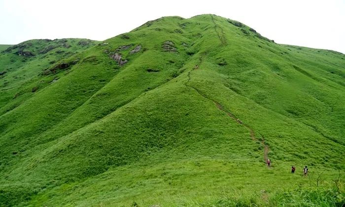 未成年七到八岁