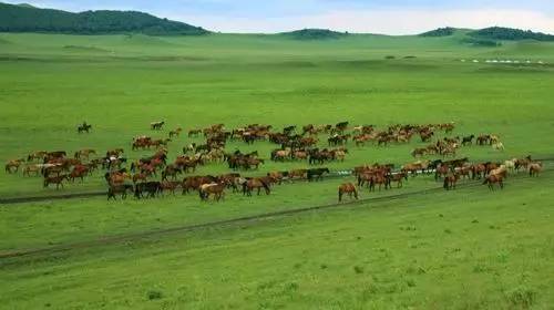 免费精品国自产拍在线不卡