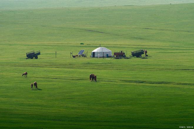 3d动漫 中文配音 无需担心“尬”的漫中问题