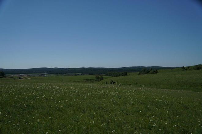 珍惜的时光荷兰电影在线
