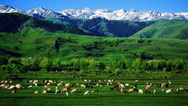 亚洲精品视频在线观看 正是亚洲其核心竞争力之一