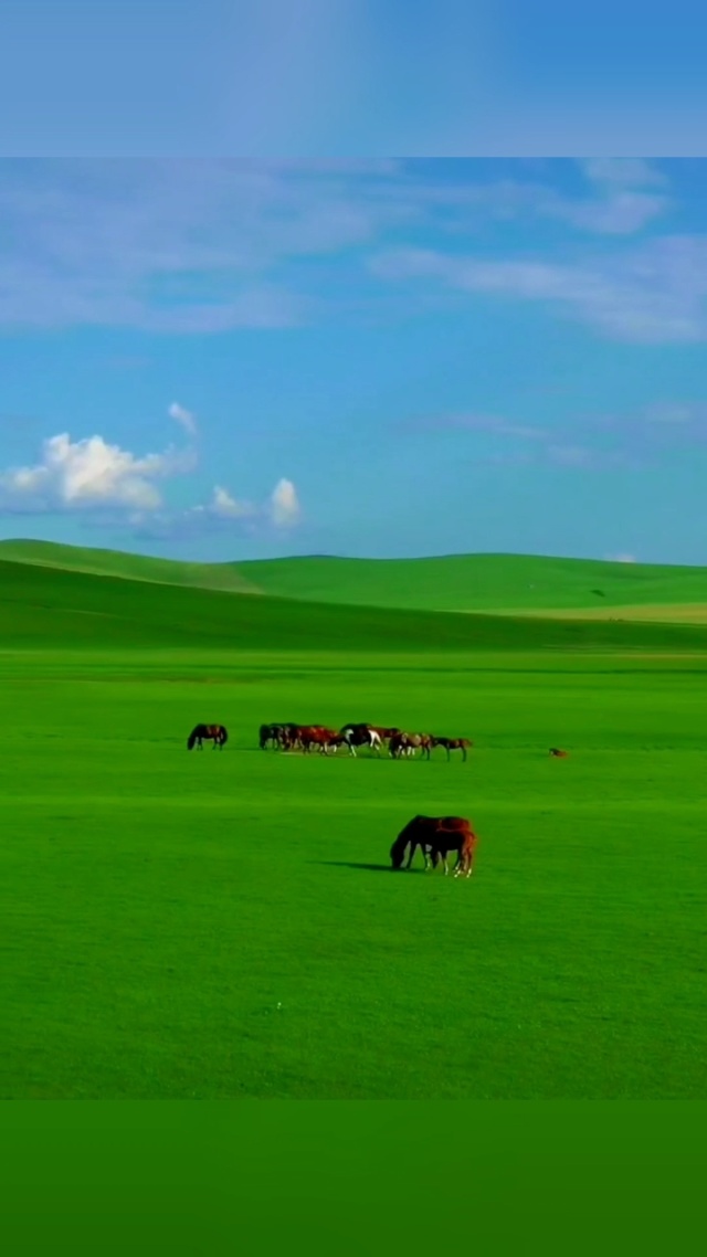 亚洲精品视频在线观看 正是亚洲其核心竞争力之一