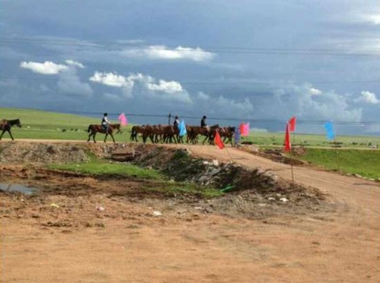 国内精品自产拍在线少密芽 你可以和其他观众交流心得