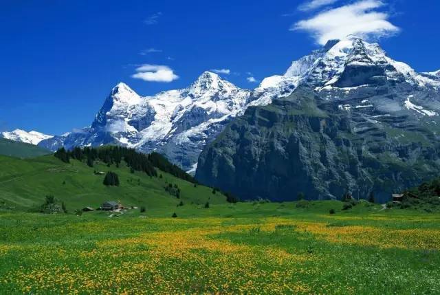 4399日本韩国好看电影免费 1080P 日本日本电影讲究细节和情感