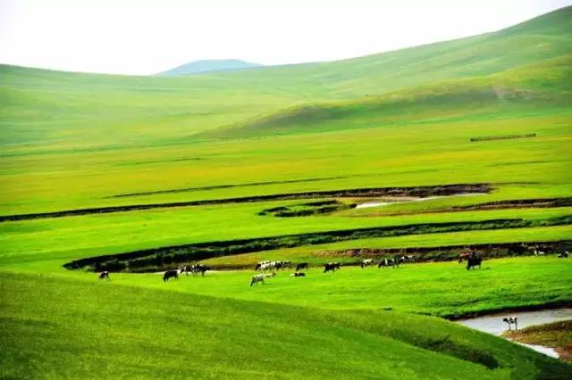 星空无限视频传媒