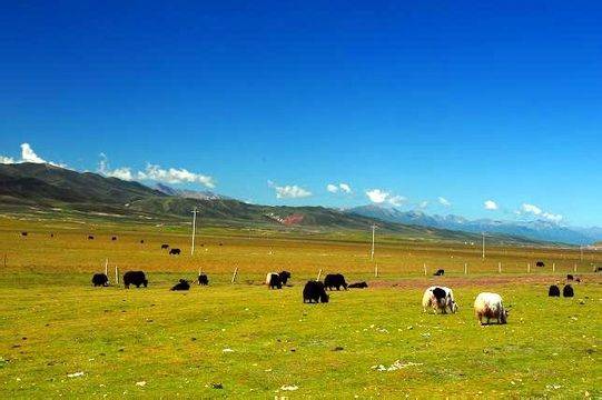 福利小视频在线观看