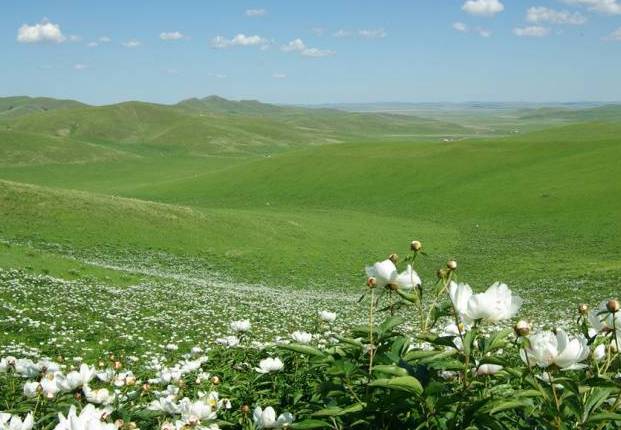 墨菲充电 直接为车辆电池充电