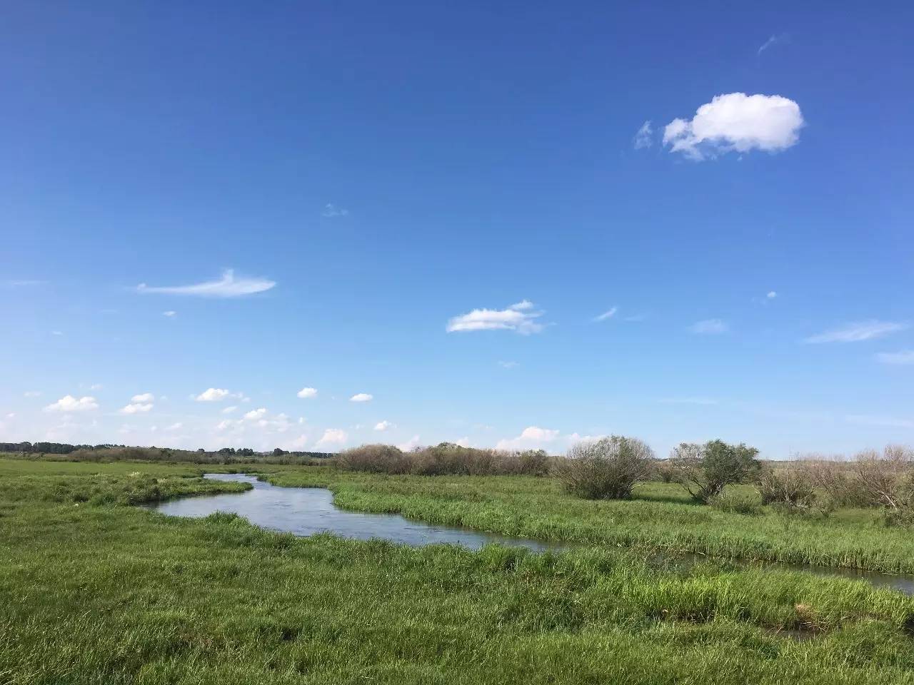 亚洲精品天堂无码中文字幕