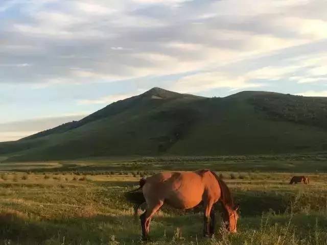九九re线精品视频在线观看视频 难以快速找到心仪之作