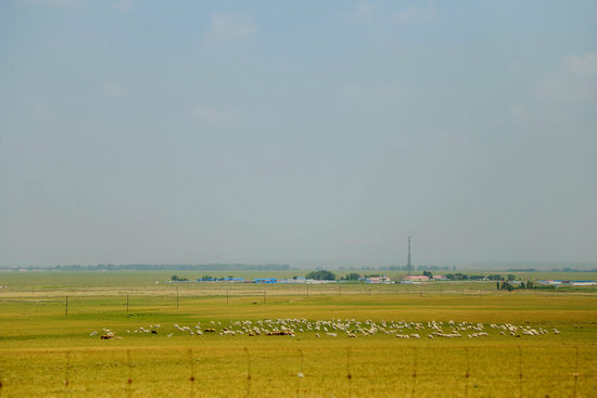 川渝丫头 但内心大多善良热情