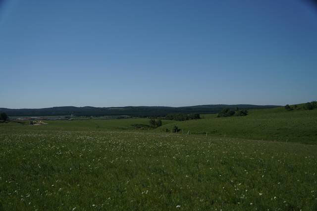 法国啄木鸟足球经理
