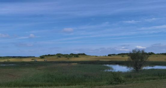 换最新 看到您说“换最新”