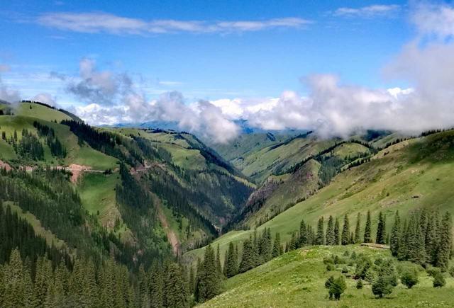 男同动漫中文字幕