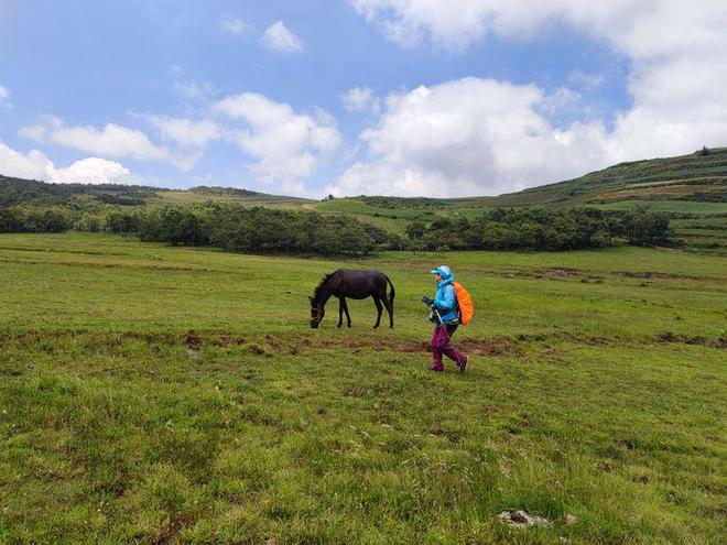 国产精品无码无卡在线观看久