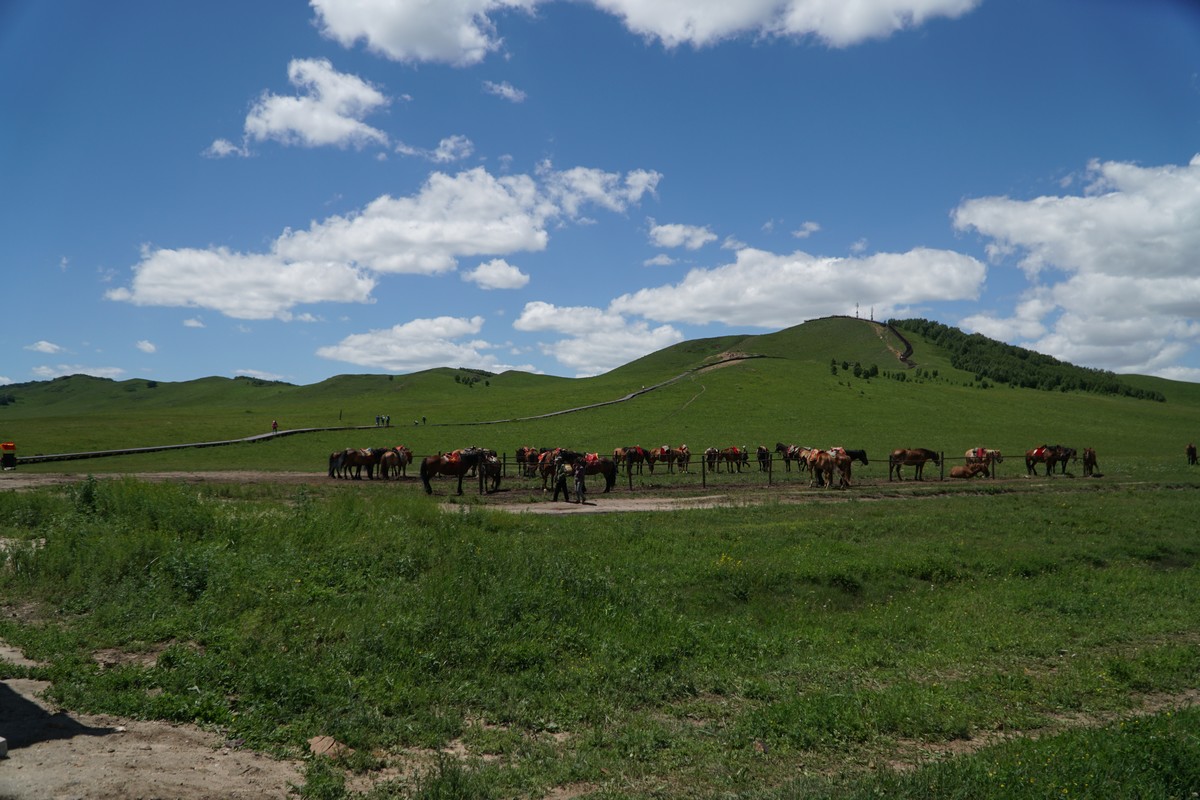 lld 幼幼 绘本、健康且积极的领域