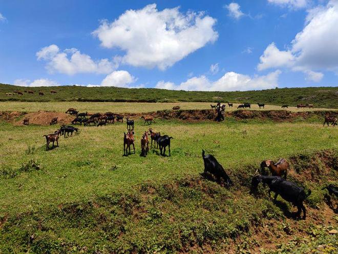 xiaochun合集 我非常乐意为你提供帮助