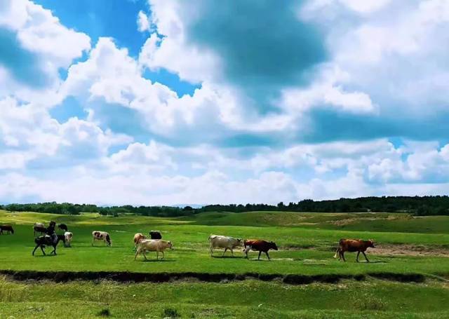 反差女神辉夜姬