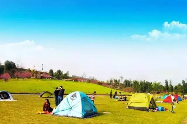 荷花视频 荷花视频Instagram Reels