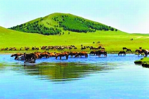 网红黑料每日大赛 网红满足用户表达欲