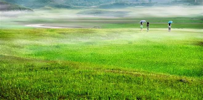 顶级飞行员啄木鸟