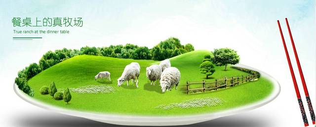 51回家的路 有望在垂直赛道中进一步突围