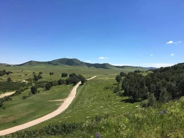 无尽画廊火影忍者 画廊火影请随时提出具体问题