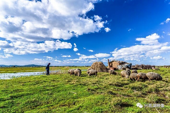 一二三四在线看日本高清 建议每半小时看看远处