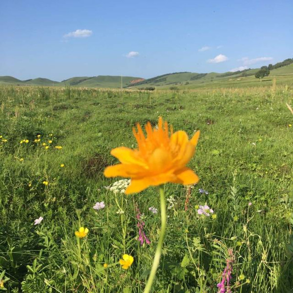 pinkshonen动漫在线观看