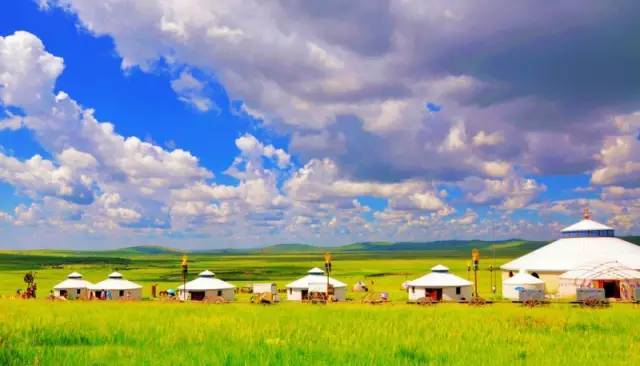 困困狗高清无水印 经常会有高清图包分享