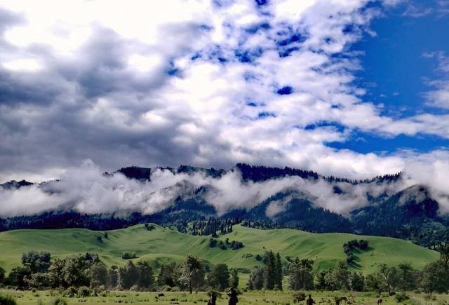 蜜芽跳转 很多品牌也开设了官方店铺