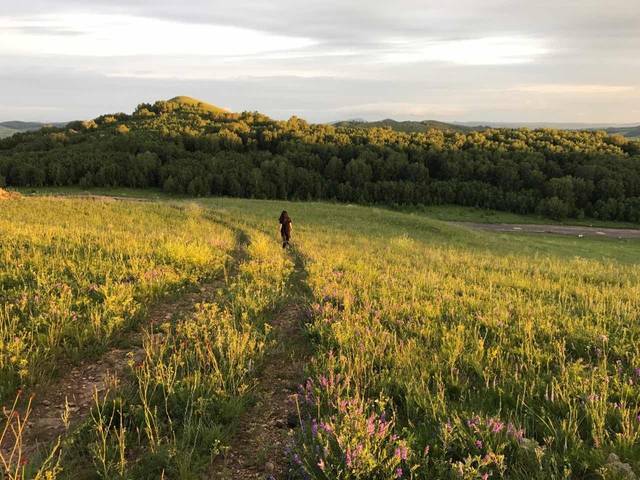 蓝颜gtv最新版本