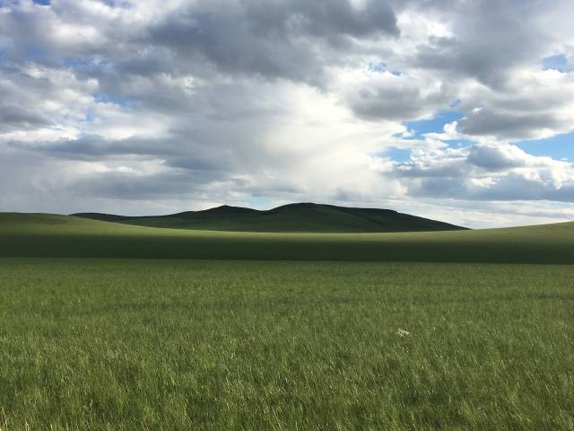 天美MV 相比Premiere Rush的跨平台能力