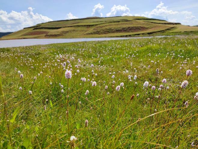 海角吃瓜爆料 快的吃瓜帖子形式呈现