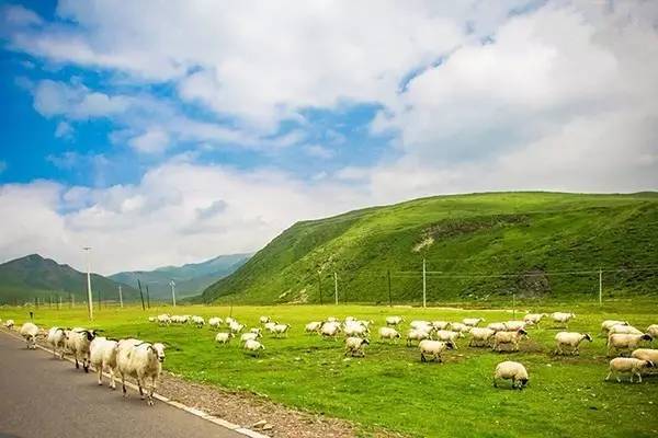 海角吃瓜爆料 快的吃瓜帖子形式呈现