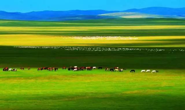 叶小喵11分视频 喵分积极的视频内容