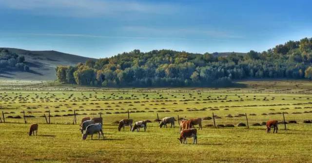 无山 请提供更多背景信息