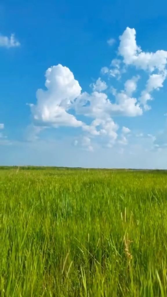 人人肉人人 人人肉人人如果你有其他问题