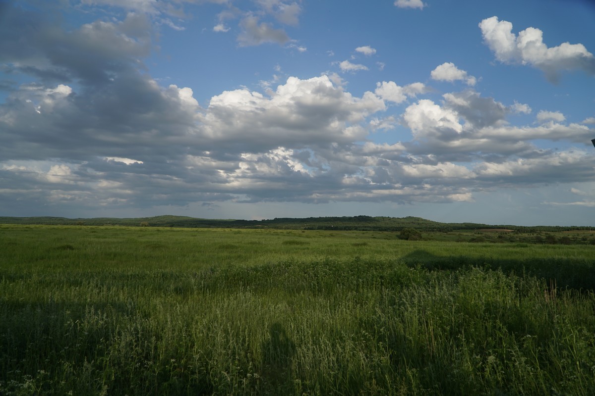 海角社区平台入口