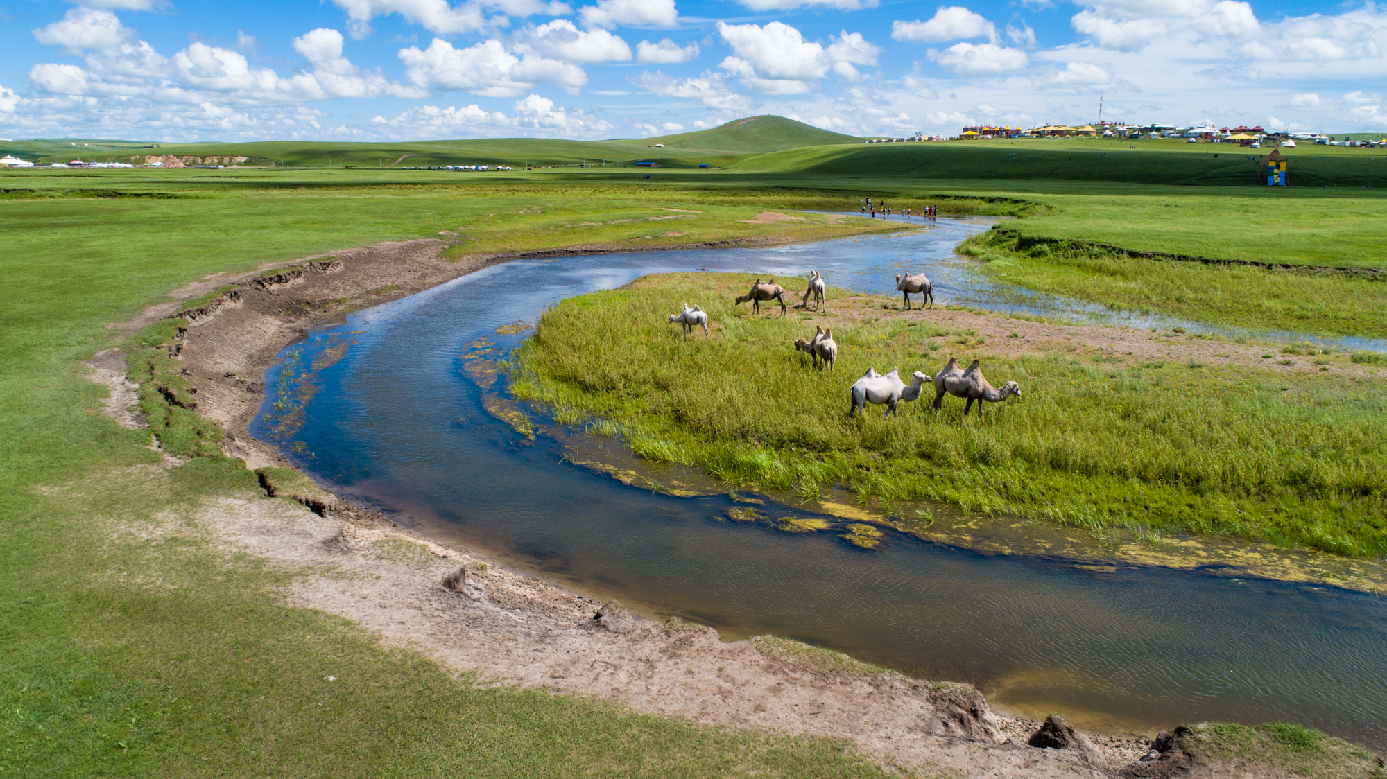 推特短视频 发布:* 点击发推按钮