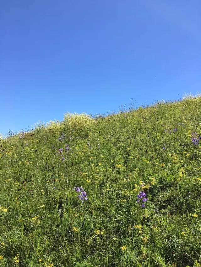 快狐短视频 短视小米、快狐建议立即卸载