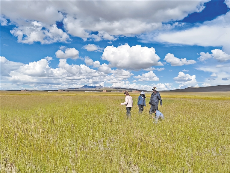 国自产精品手机在线观看视频 国自观积极的产精网络环境