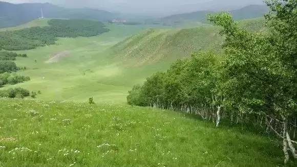 国产精品久久久一级毛片